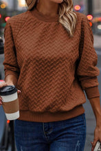 Solid Textured Raglan Sleeve Pullover Sweatshirt