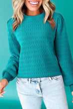 Trendy Pattern Knit Ribbed Cuffs Crew Neck
