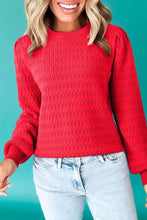 Trendy Pattern Knit Ribbed Cuffs Crew Neck